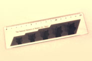 Photo:Scale