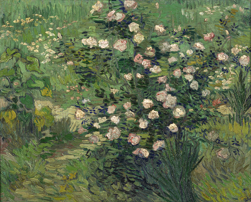 photo:Vincent van Gogh
Roses