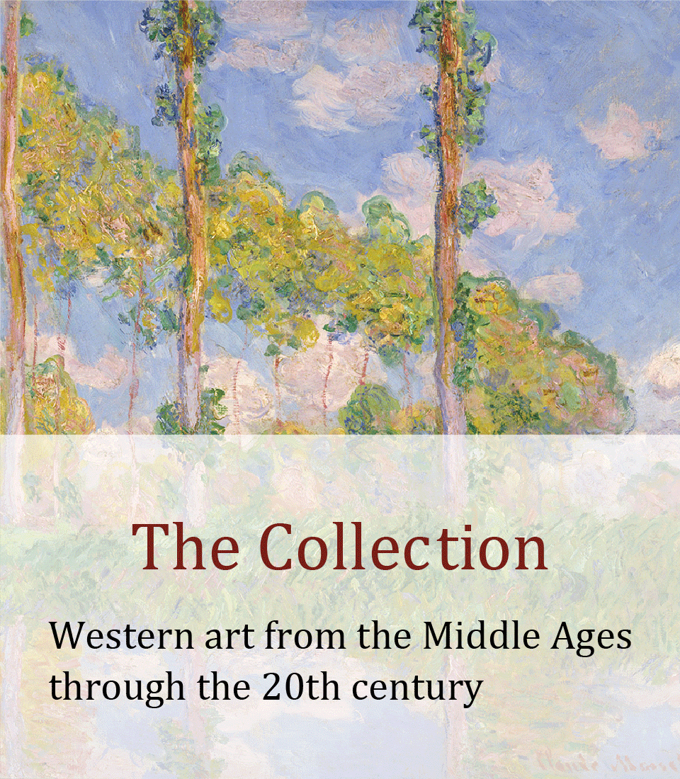 exhibitions002_en_sp.png