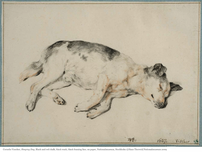 image：Cornelis Visscher, Sleeping Dog