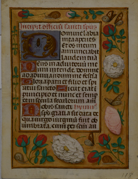 Scatter Border