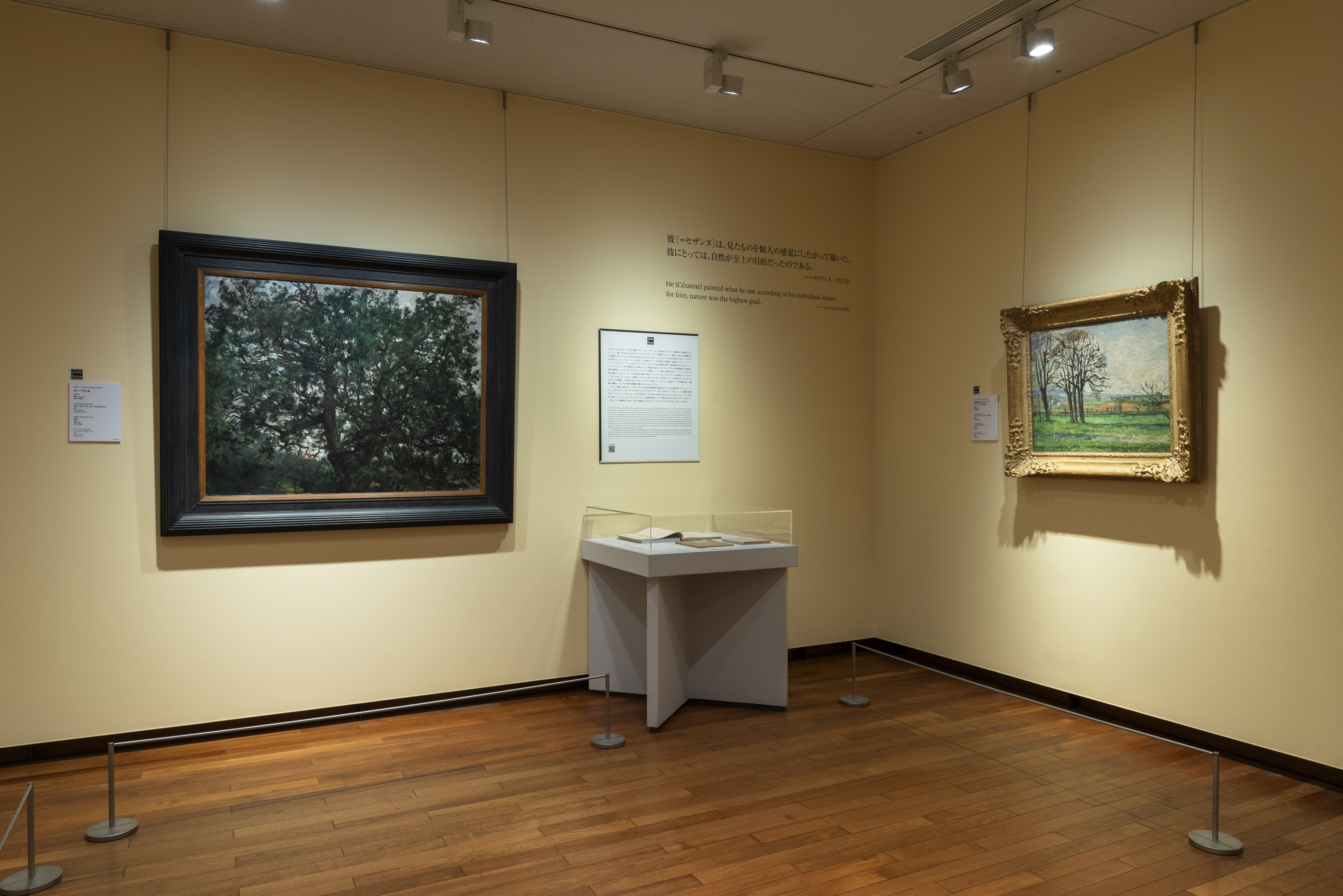 写真:植生へのまなざし、絵画への距離――ロヴィス・コリントの《オークの木》を結節点として