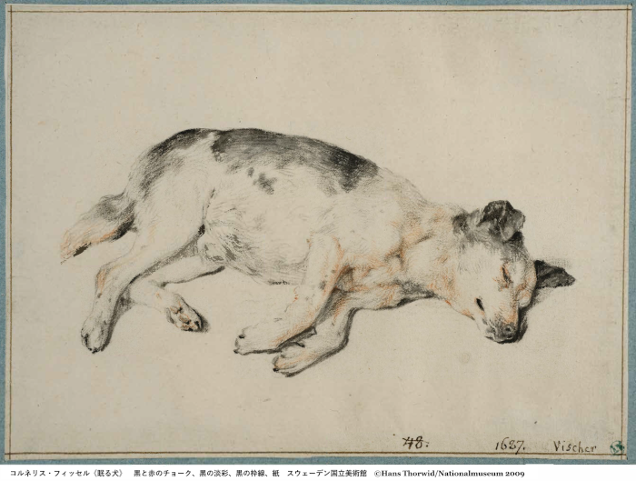 画像：コルネリス・フィッセル《眠る犬》