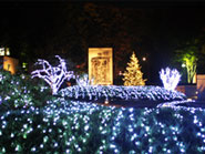 2008年ガーデン・イルミネーション&クリスマス・ツリー